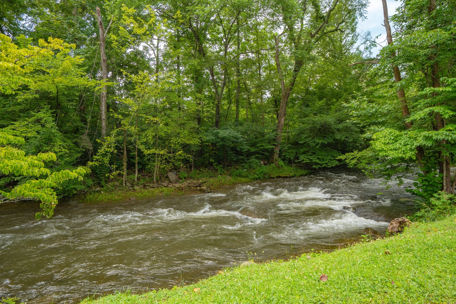 Quaint Cabin on Cosby Creek