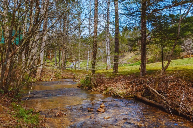 Peaceful Creek