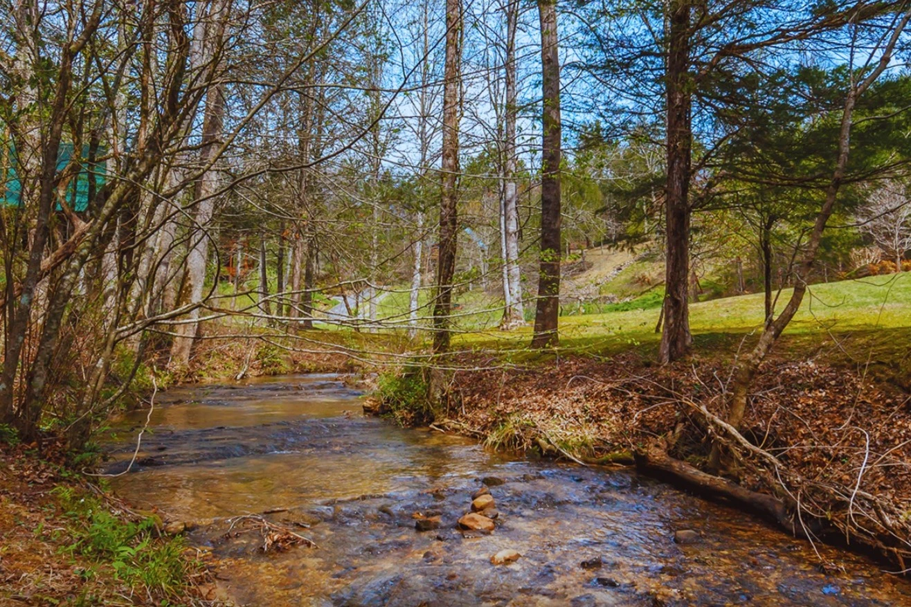 Peaceful Creek