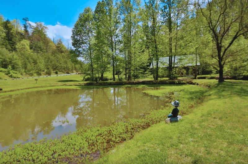 Peaceful Creek