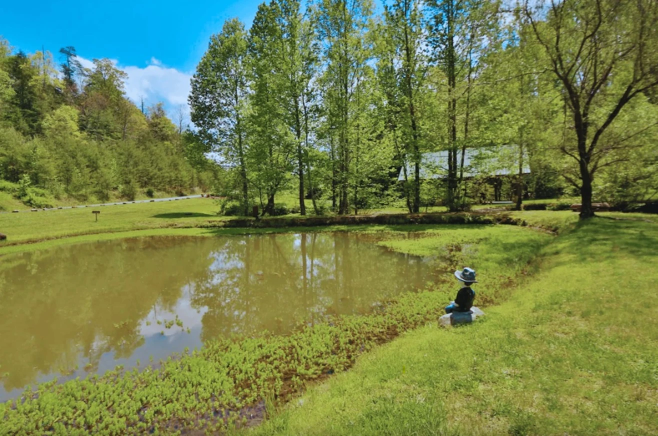Peaceful Creek