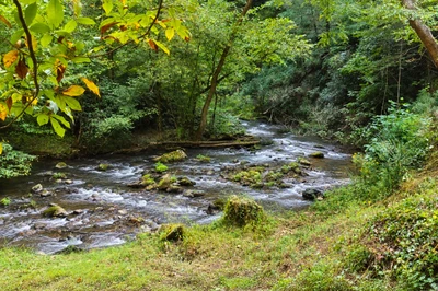 Creekside Retreat