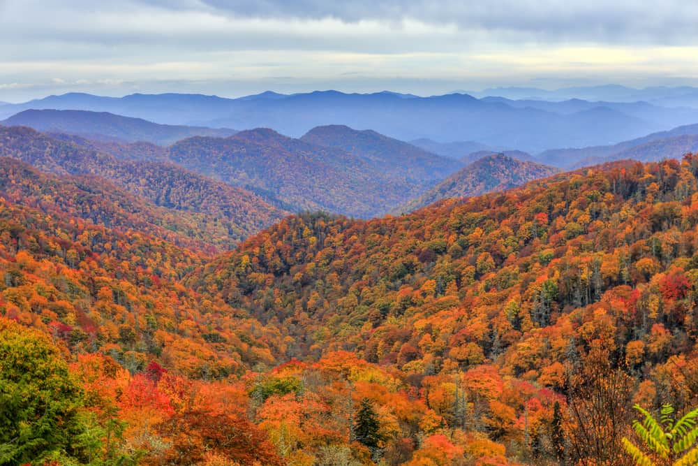 fall colors in the smoky mountains