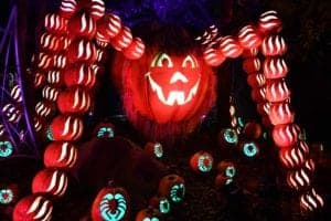 jack o lantern at dollywood that looks like a spider