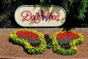 Dollywood butterfly sign